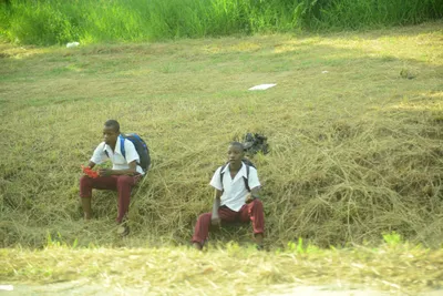 DSC_7739 (Large).JPG